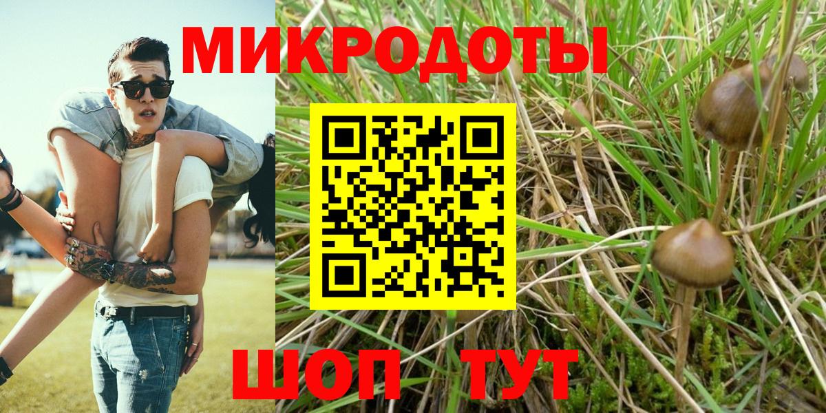 A PVP Нововоронеж