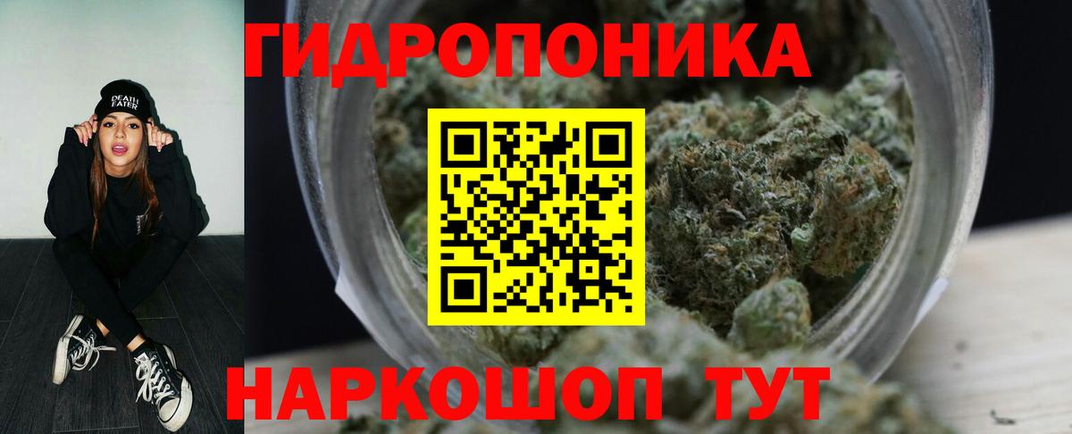 Каннабис гибрид  Конопля планчик  Марихуана план  Вход с VPN  Нововоронеж  Марихуана ГИДРОПОН 